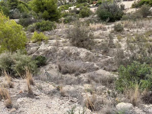 Terreno en Balcón de Finestrat-Terra Marina