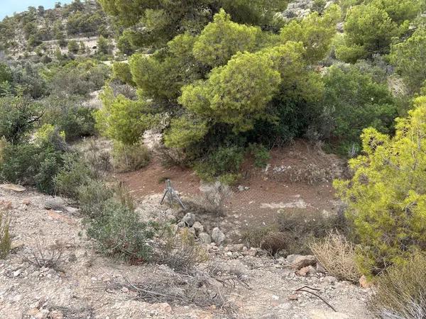 Terreno en Balcón de Finestrat-Terra Marina