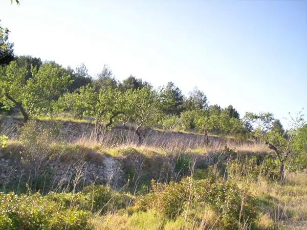 Terreno en Benissa pueblo