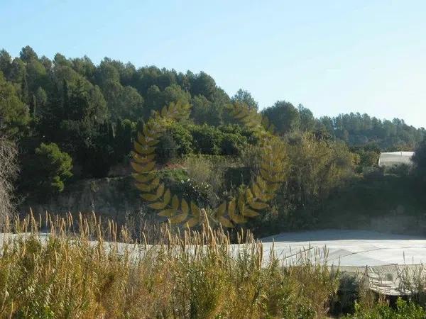 Terreno en Partida Segarra