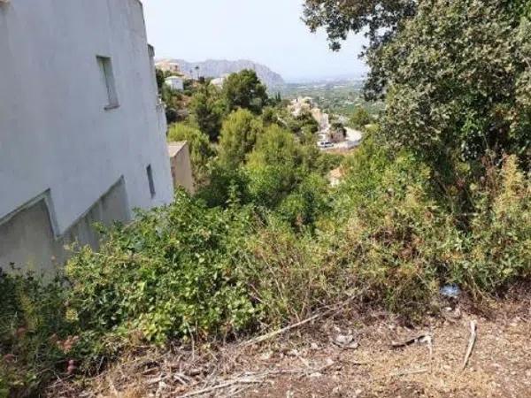 Terreno en calle l'Albufera de Valencia