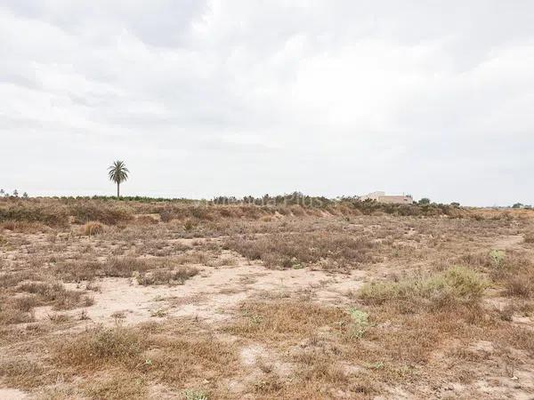 Terreno en La Marina, 49 -205