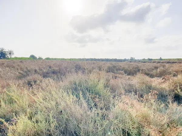 Terreno en La Marina, 49 -205