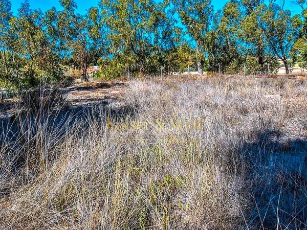 Terreno en calle les Salines