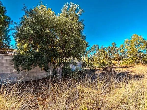 Terreno en calle les Salines