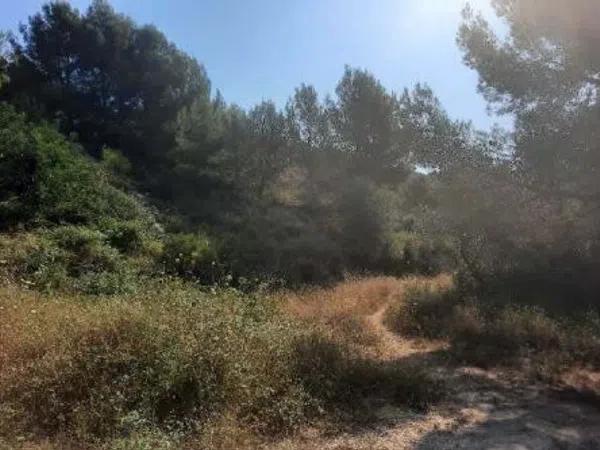 Terreno en Urbanización la Almazara