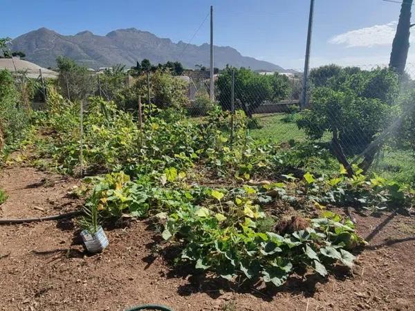 Terreno en La Nucia Pueblo