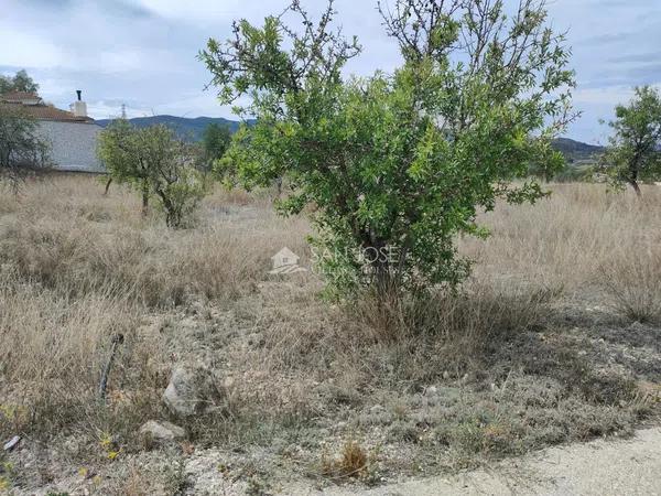 Terreno en Hondón de las Nieves