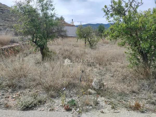 Terreno en Hondón de las Nieves