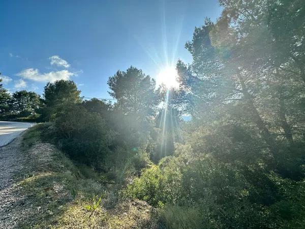 Terreno en Cometa-Carrió