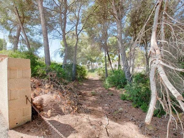 Terreno en Cala Advocat - Baladrar