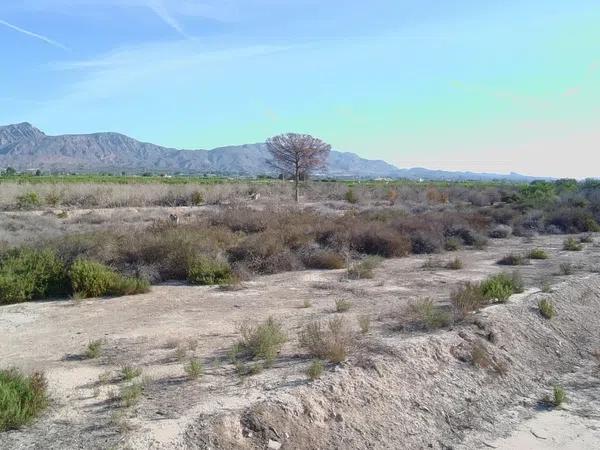 Terreno en partida del moco