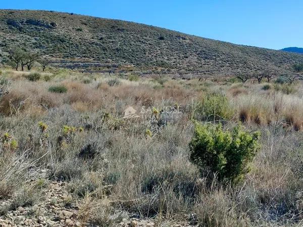 Terreno en Hondón de los Frailes