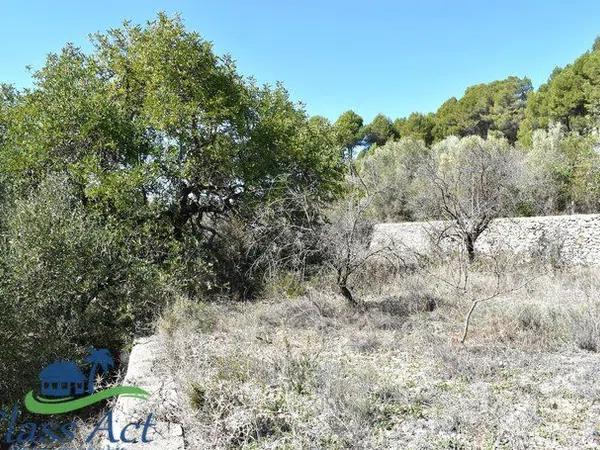 Terreno en Alcalalí