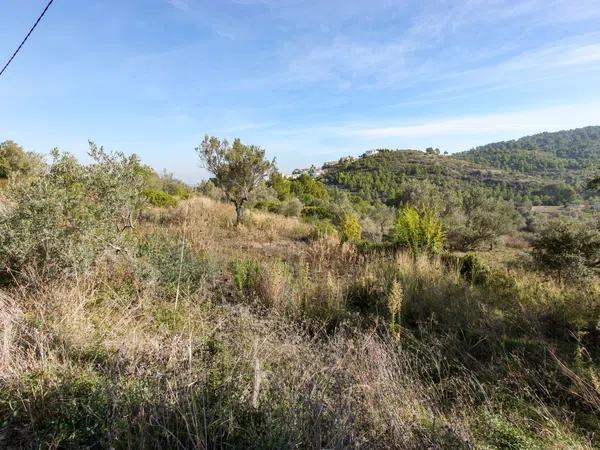 Terreno en Orba