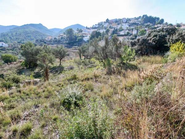 Terreno en Orba