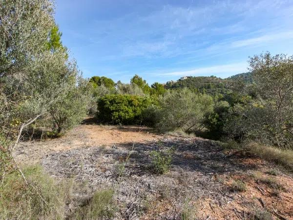 Terreno en Orba