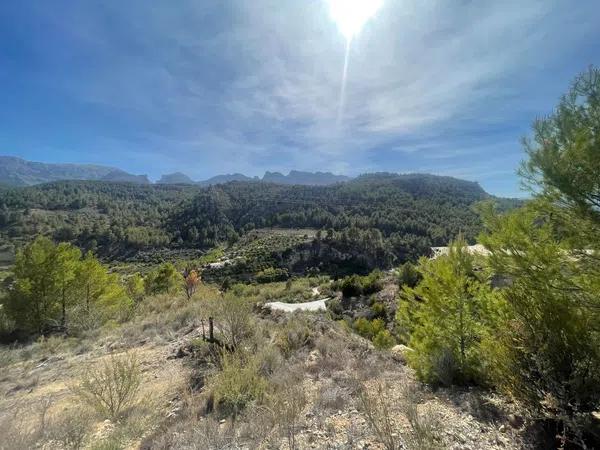 Terreno en Callosa d'En Sarria