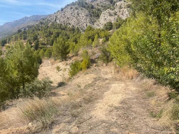 Terreno en Callosa d'En Sarria