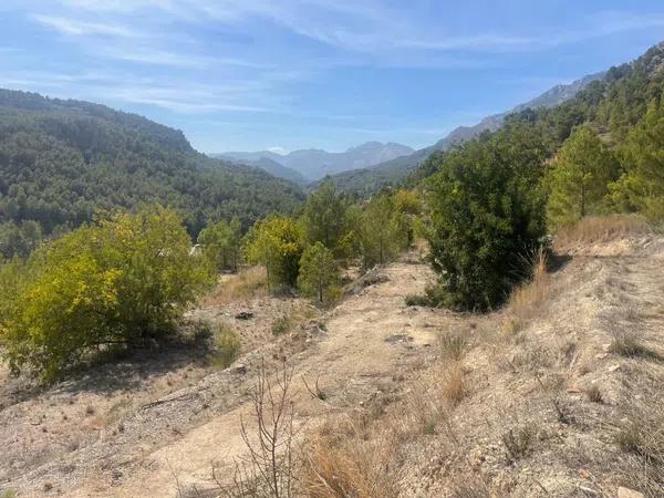 Terreno en Callosa d'En Sarria