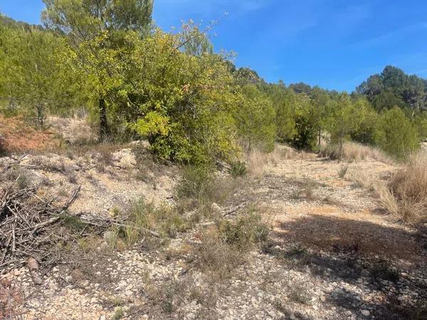 Terreno en Callosa d'En Sarria