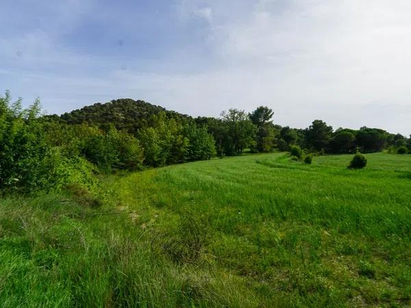 Terreno en juan carlos, 1