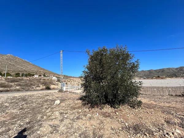 Terreno en Partida Horna Alta