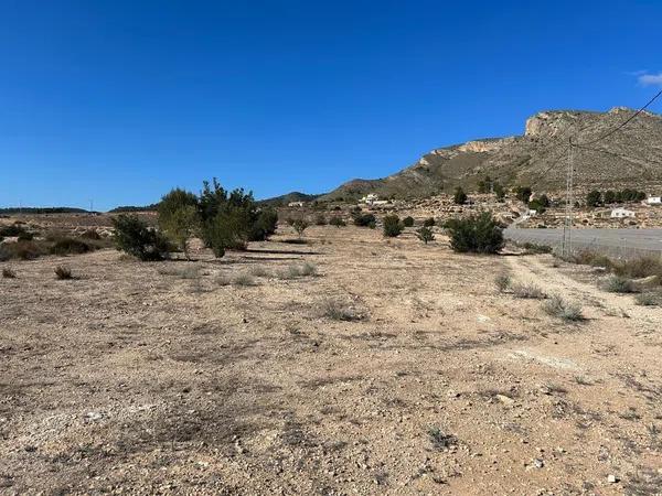 Terreno en Partida Horna Alta