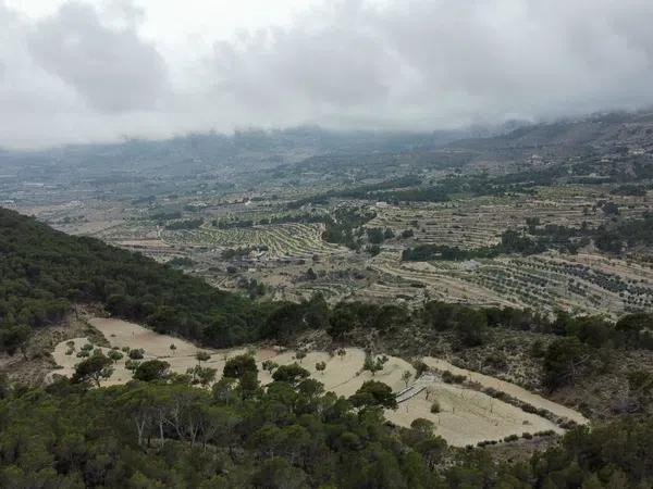 Terreno en Partida Bugaia Llentiscar