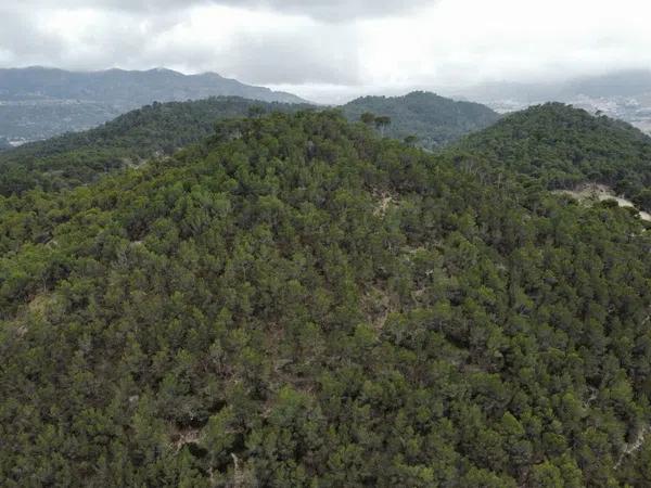 Terreno en Partida Bugaia Llentiscar