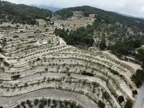 Terreno en Partida Bugaia Llentiscar