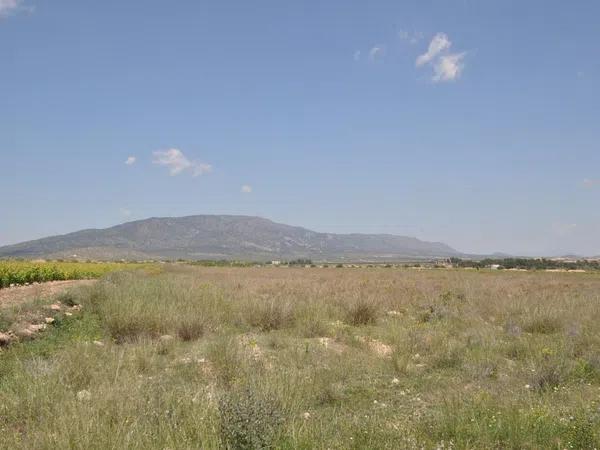 Terreno en Pinoso