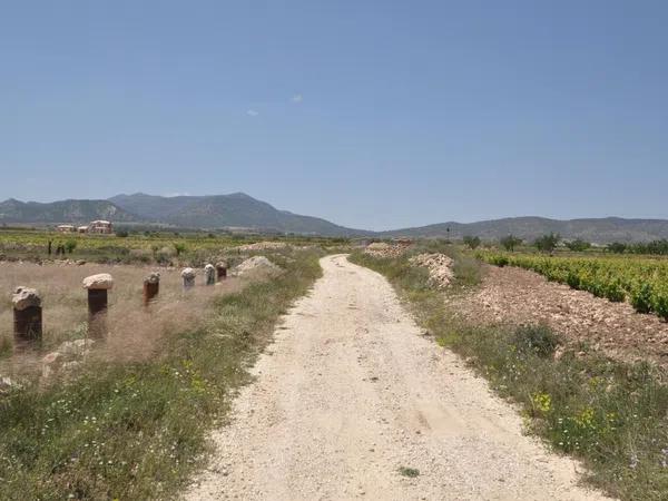 Terreno en Pinoso