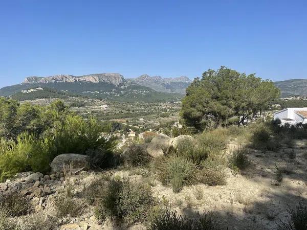 Terreno en Cometa-Carrió