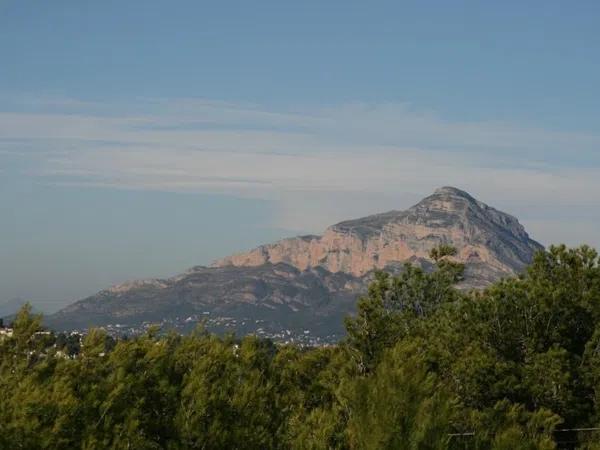 Terreno en Centro Ciudad