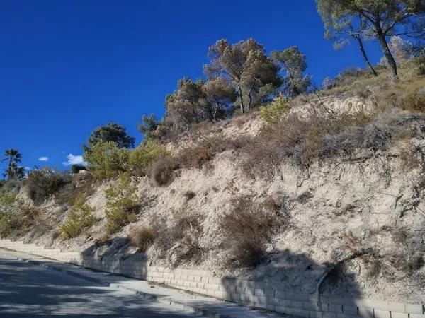 Terreno en Partida la Empedrola