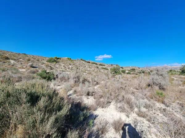 Terreno en Cañada del Fenollar