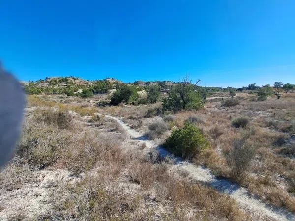 Terreno en Cañada del Fenollar