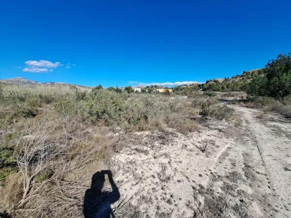 Terreno en Cañada del Fenollar