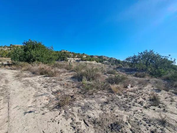 Terreno en Cañada del Fenollar