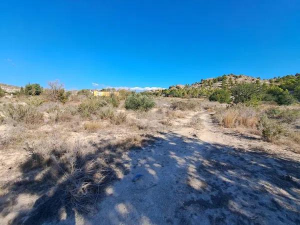 Terreno en Cañada del Fenollar