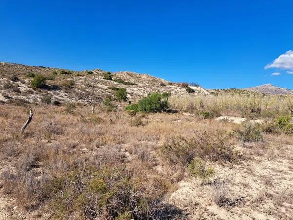 Terreno en Cañada del Fenollar