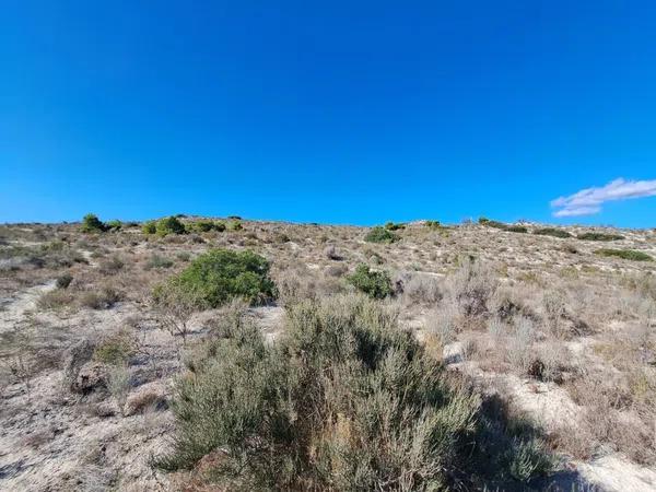 Terreno en Cañada del Fenollar