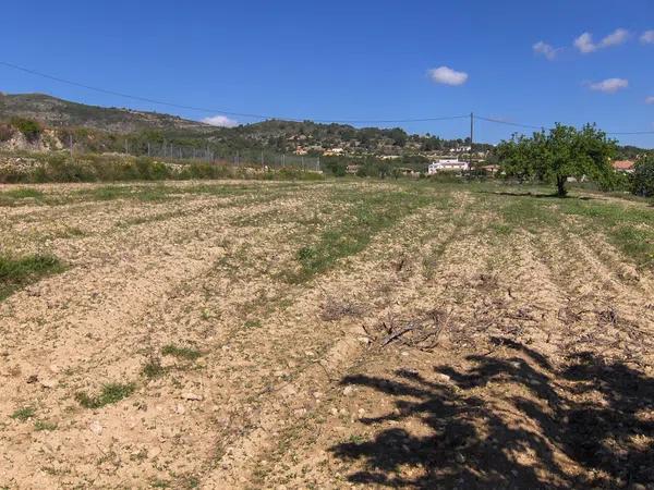 Terreno en Partida Benimalluny