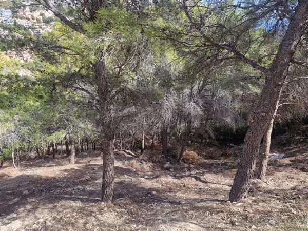 Terreno en Altea Hills