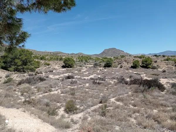 Terreno en Partida el Boter