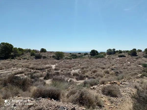 Terreno en Partida el Boter