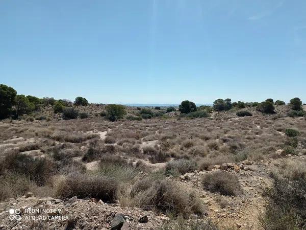 Terreno en Partida el Boter