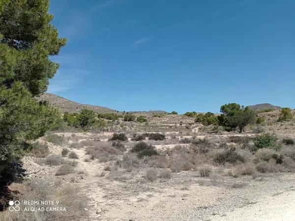 Terreno en Partida el Boter