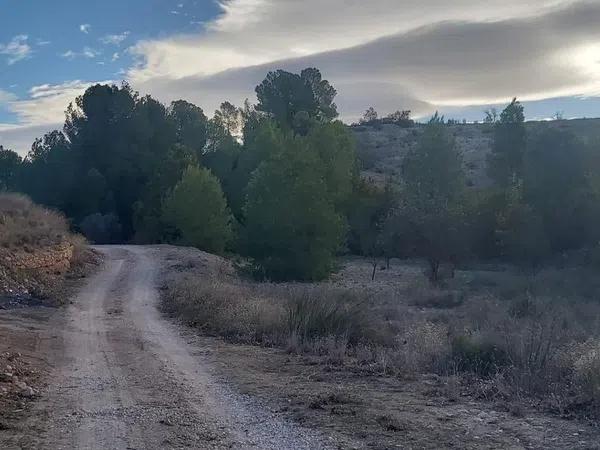 Terreno en Partida Font del Pi, 3